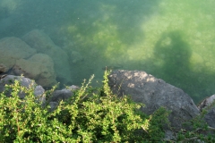 Sommer_2006-126
