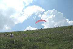 Sommer_2006-140