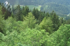 Sommer_2006-192