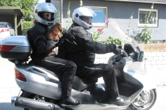 Sommer_2006-217