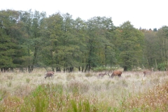 P1000383