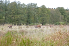 P1000384