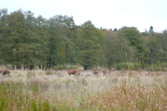 P1000385