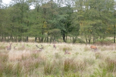 P1000388