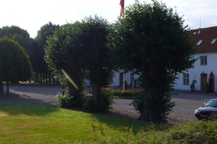 P1010088