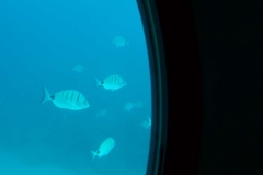 P1020045