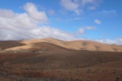 P1020080