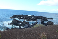 P1010466