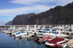 Tenerifa-Jan.-2009-035