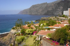 Tenerifa-Jan.-2009-041