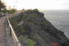 Tenerifa-Jan.-2009-046