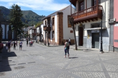 P1030421