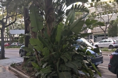 20190517_Nokia_9_0003
