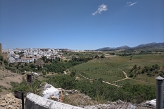 20190518_Nokia_9_0007