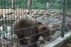 DSCF1794