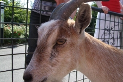 DSCF1858