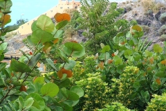 02-16